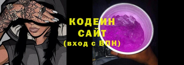 твердый Вяземский