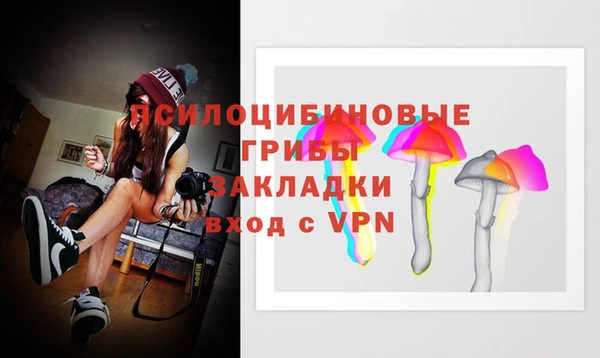 бошки Вязьма