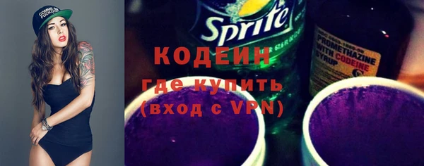 твердый Вяземский