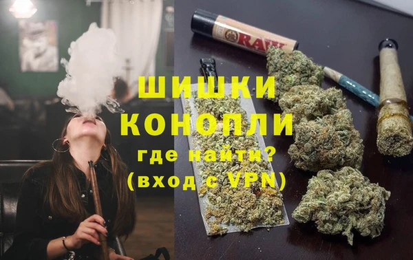 твердый Вяземский