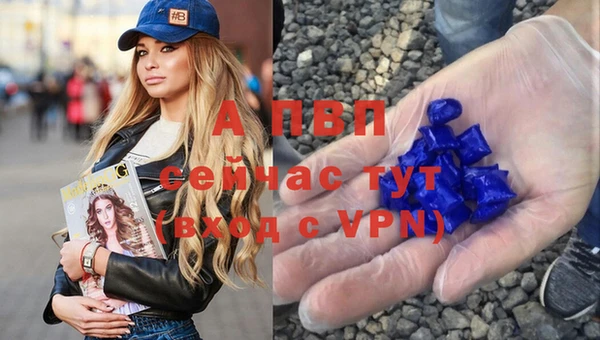бошки Вязьма