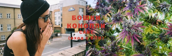 твердый Вяземский