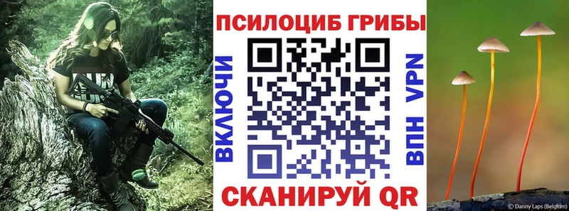площадка официальный сайт  Поворино  Псилоцибиновые грибы прущие грибы  наркотики  blacksprut как войти 